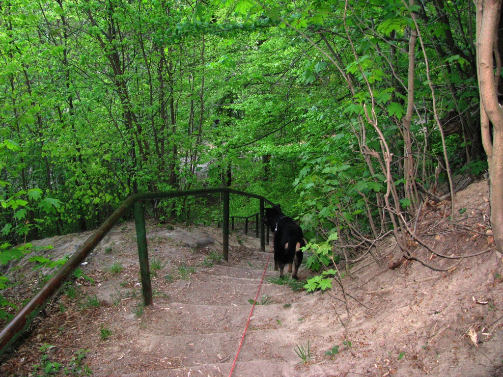 Park Oruński