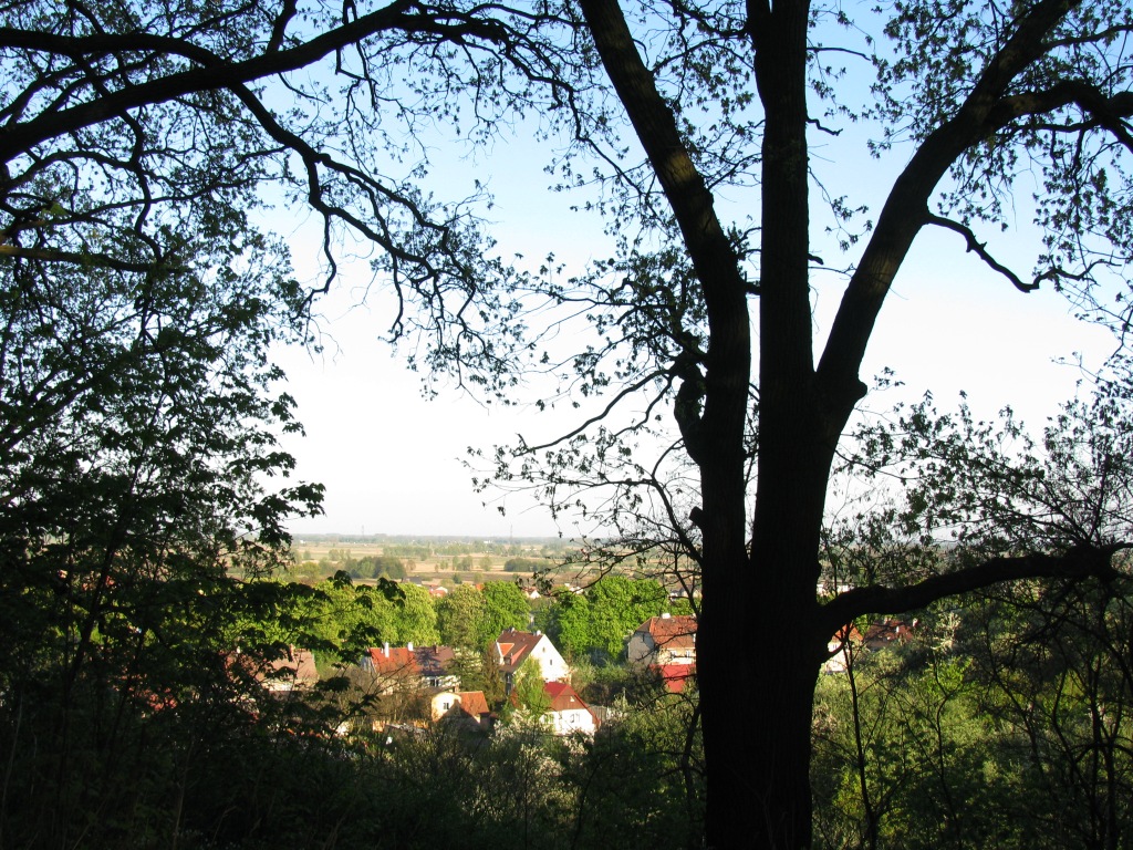Park Oruński