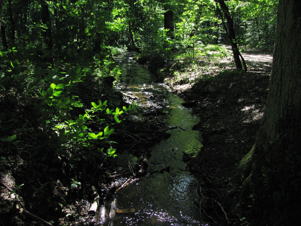 strumień