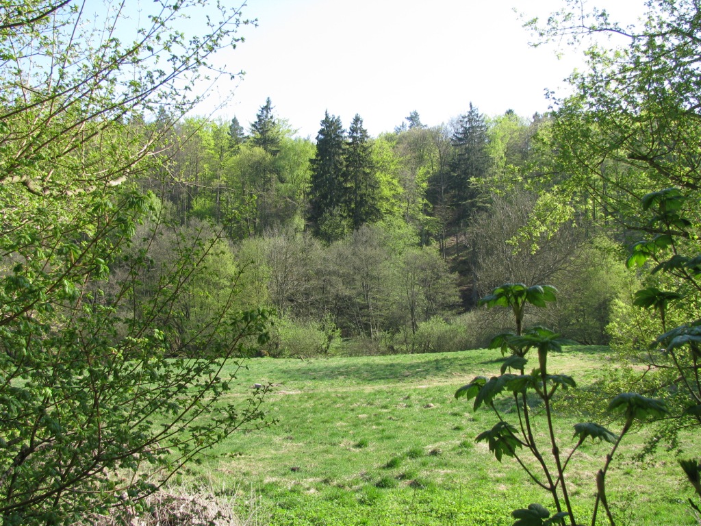 Dolina Radości