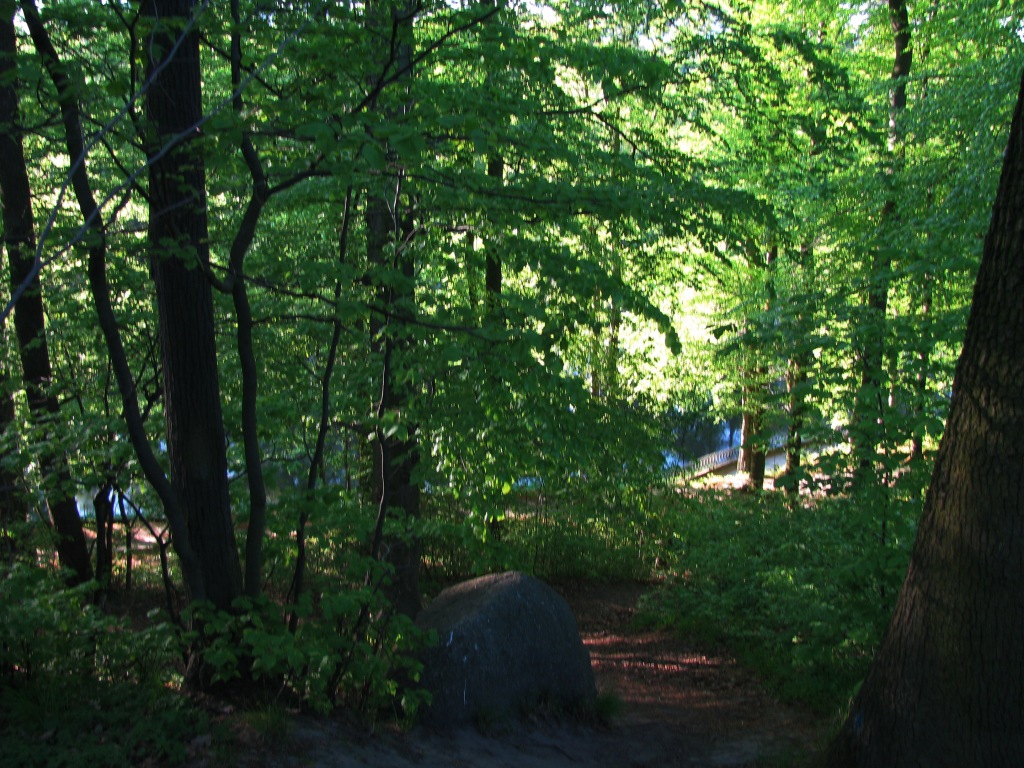 Park Oruński