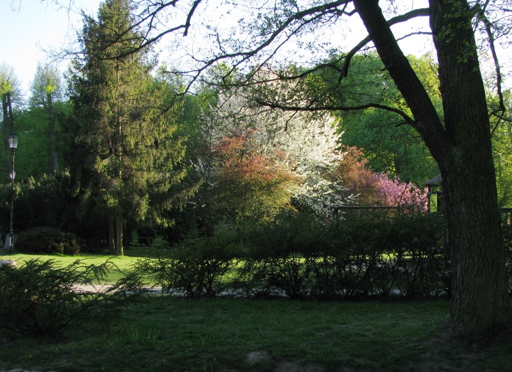 Park Oruński