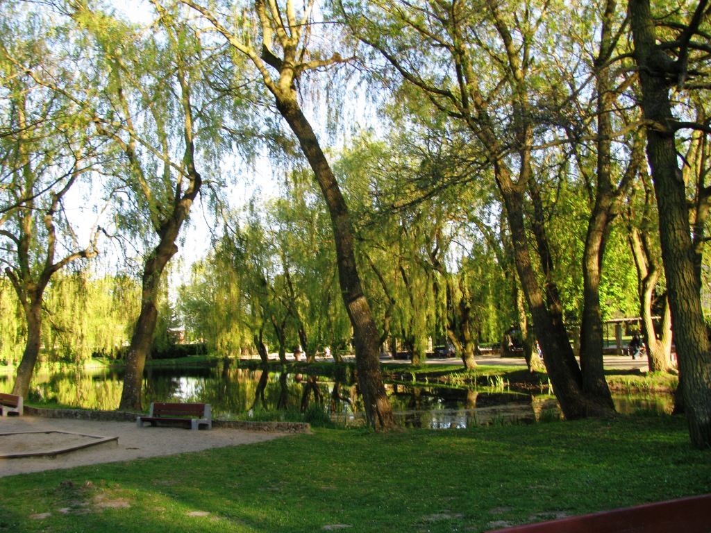Park Oruński