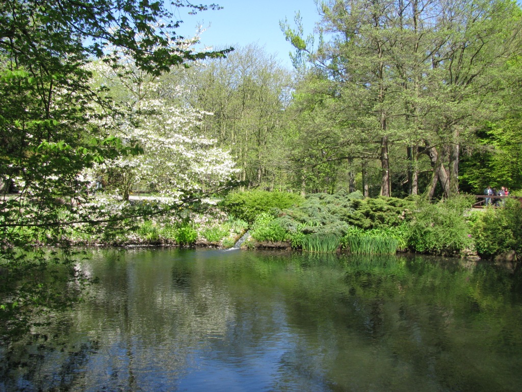 Park Oliwski