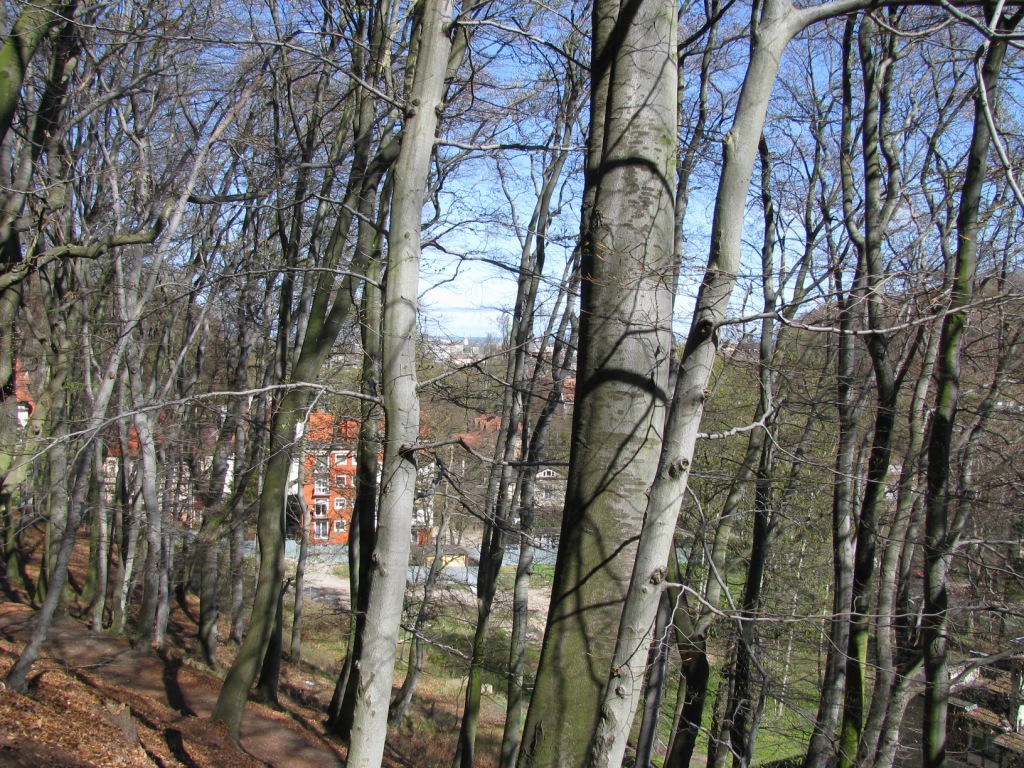 Jaśkowa Dolina