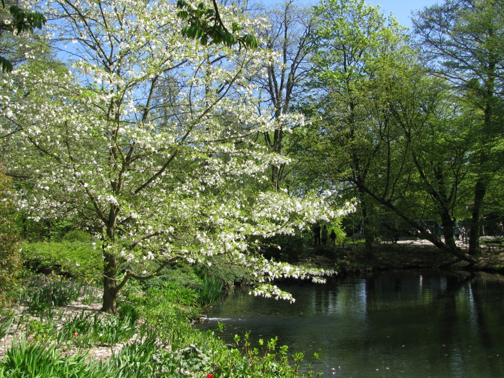 Park Oliwski