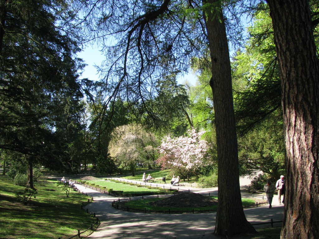 Park Oliwski