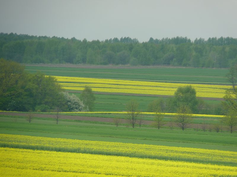 04.05