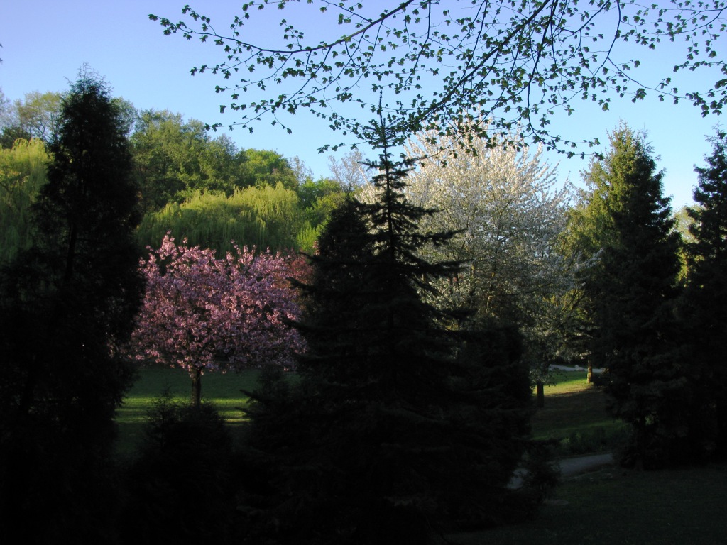 Park Oruński