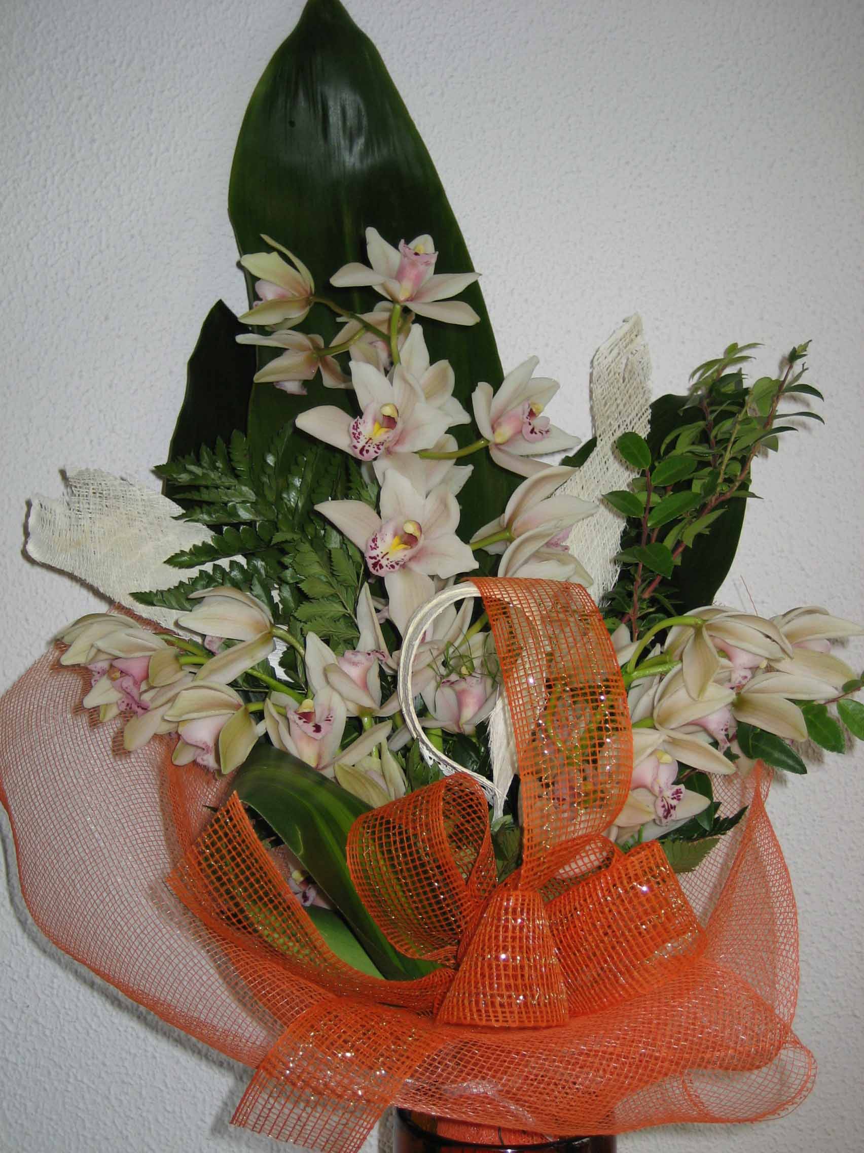 pożegnalne storczyki