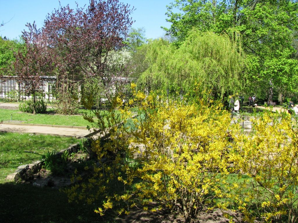 Park Oliwski